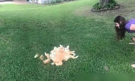  通知书|吴彦祖近照曝光；大张伟又添扎心金句；林俊杰粉丝录取通知书