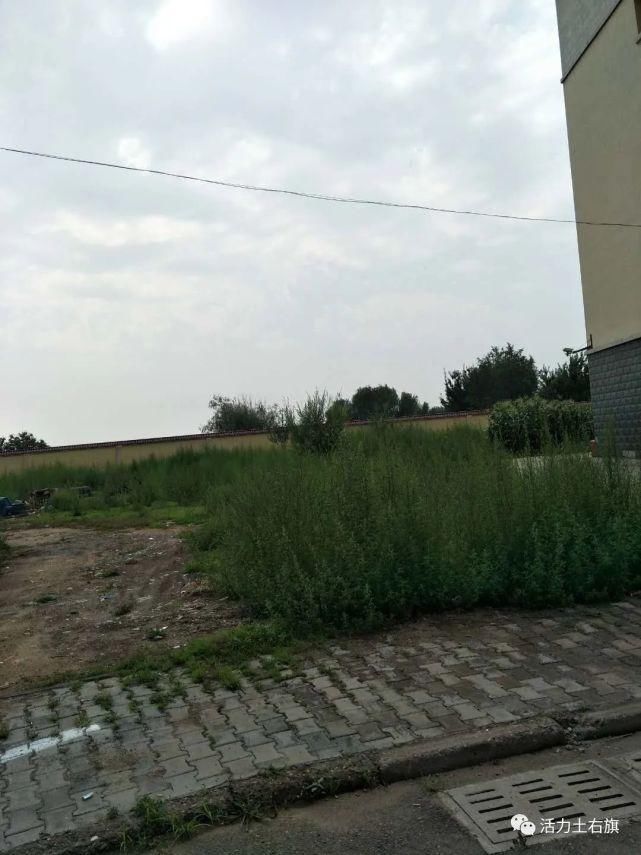 创城|创城曝光台 | 按位停车、按道行驶 做个文明人其实并不难