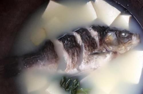  鲜香|煮鱼汤，掌握这两个要点，鱼汤奶白没腥味，鲜香营养超好喝！