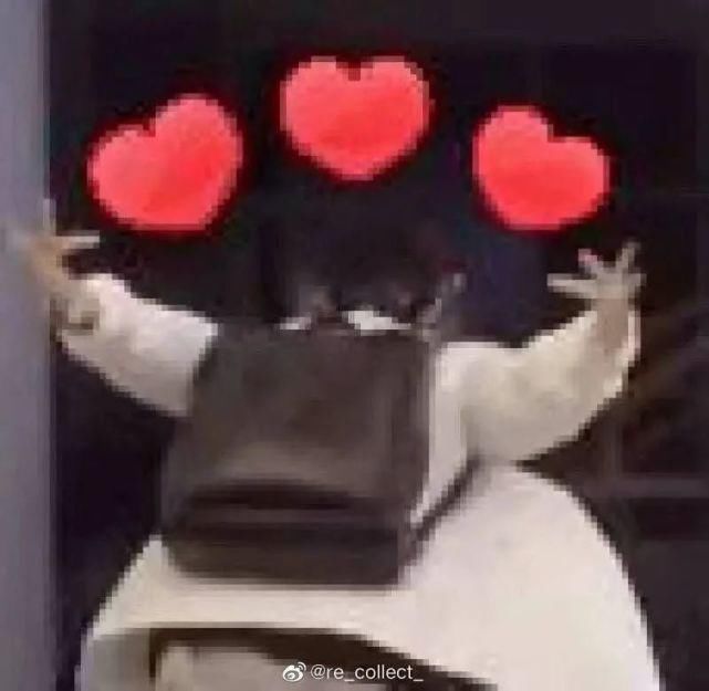  子秋|《以家人之名》评分新低！女配随意加戏？这些女演员的年纪才吓人