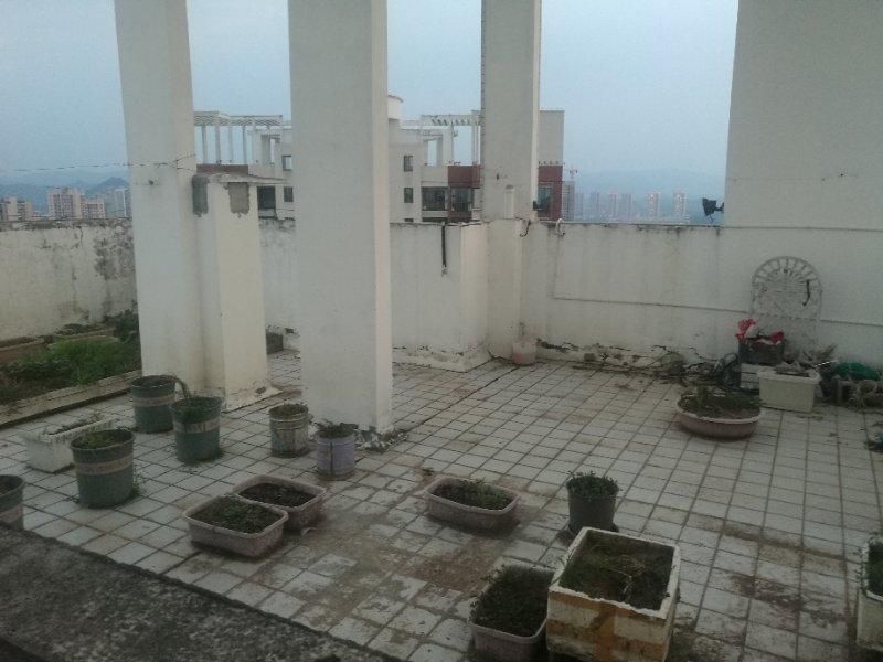 碧水|碧水兰庭1号楼28楼楼顶乱搭建围墙