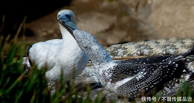速腾|浑河景色好美