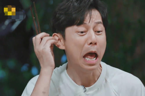  再也|向往：何炅终于说“实话”了？吃完黄磊做的菜后，再也夸不出来