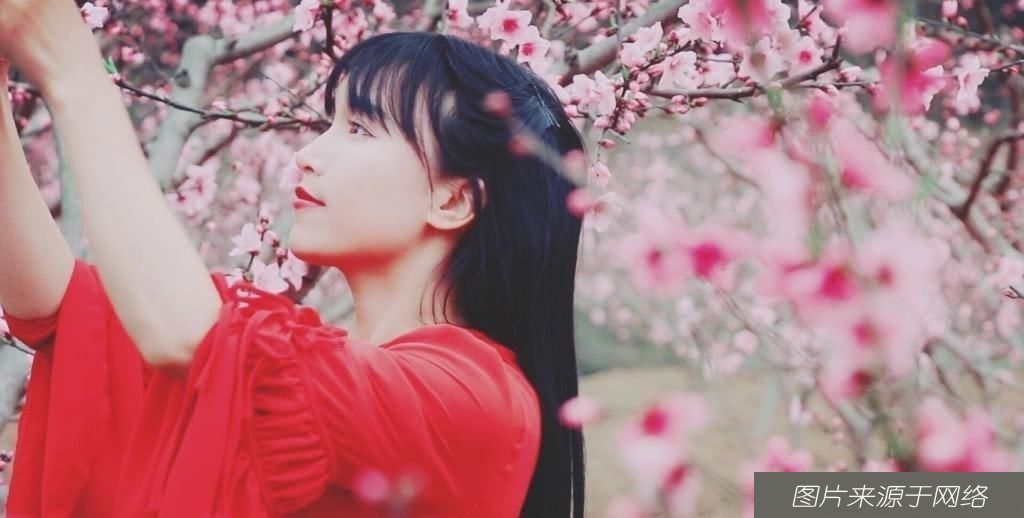  地址|追求美食梦想，不少人看出李子柒的地址，原来是住在四川平武