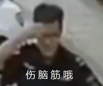  小可爱|这些小可爱是真实存在的吗？