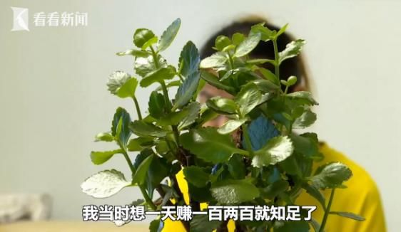  投入|女子用手机“投彩”想赚钱，还有导师“帮忙”？结果却损失近70万