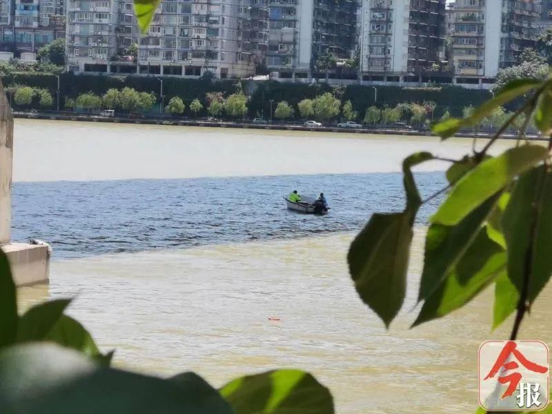  桥栏杆|突发！烈日下，男子爬到广雅大桥栏杆外！情况危急，正展开救援