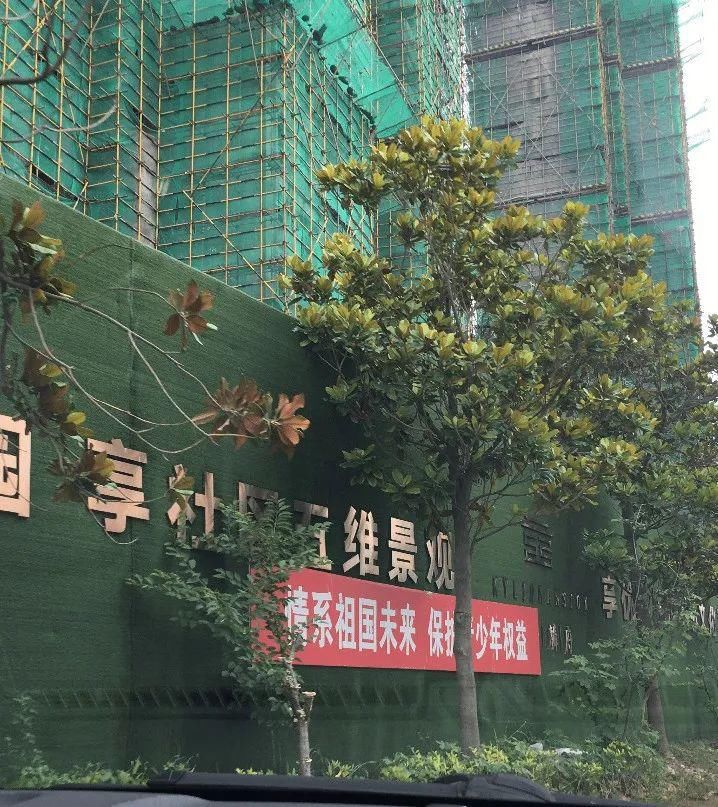 老旧破损|实地暗拍！滨海这些不文明不规范行为被曝光了...