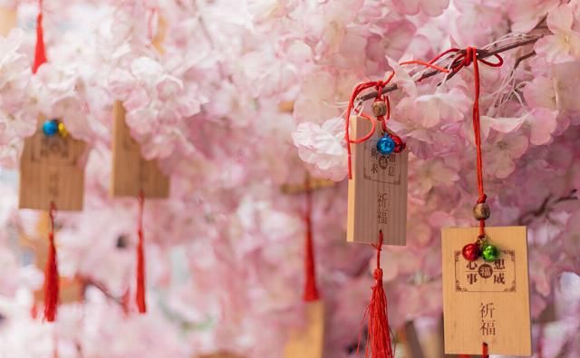  EOS|摄影摄像全能的干活利器 佳能EOS R5微单相机评测