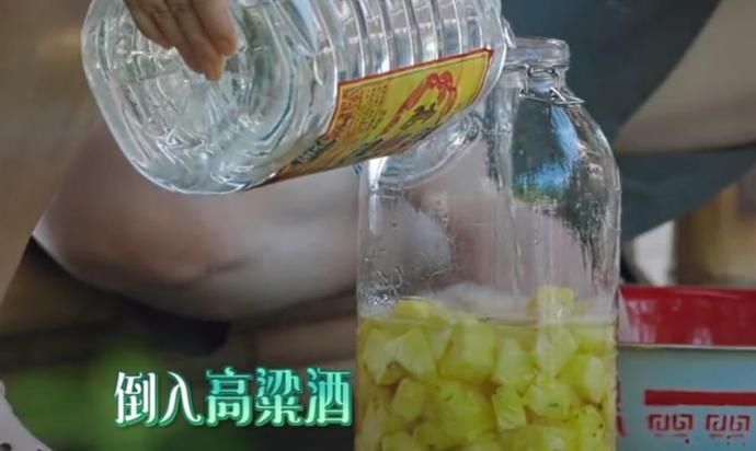  酿造|《向往4》后再无下一季宋丹丹酿造菠萝酒，何炅不慎说漏嘴了