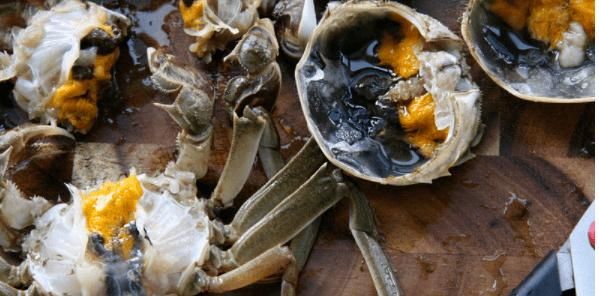 螃蟹|又到了“金九银十”的螃蟹季,每年秋天都在等这一口黄