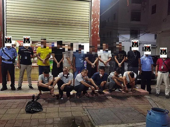 情指|抓19人！“情指行”高效联动 全力提升打击效能