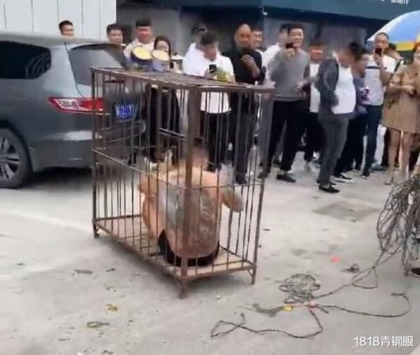 值得|小伙结婚遭伴郎婚闹，被脱得只剩内裤！网友：不值得同情！
