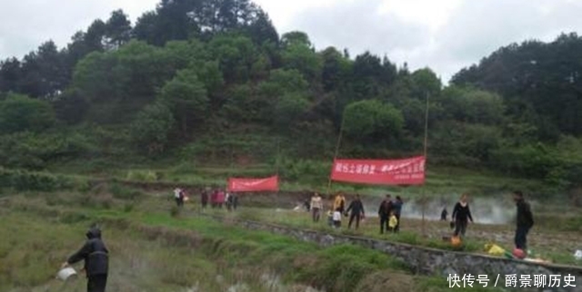 消毒|生石灰消毒杀菌效果好,成本低,不过很多农民用错了!