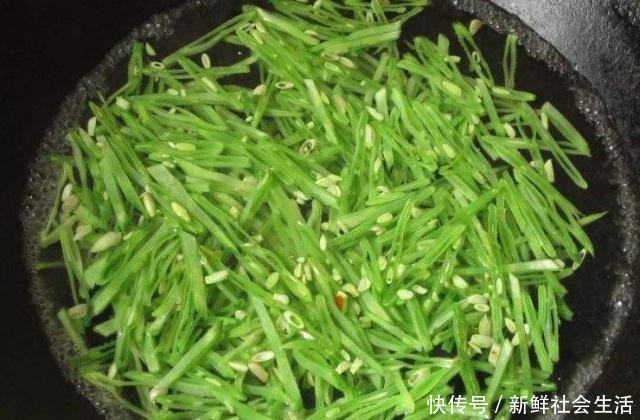 最多|这种菜夏天很难遇见,每次买好几斤,营养又便宜,口感清脆很下饭