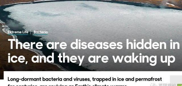 图源|北极圈着火!气温直逼38度,科学家恐冰川融化远古病毒复活