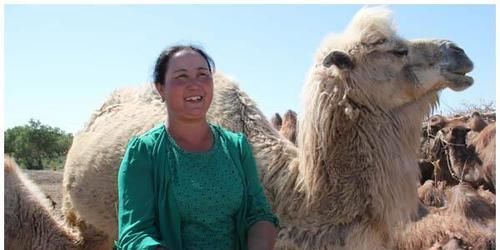  骆驼|骆驼的奶粉和牛的奶粉哪个好？