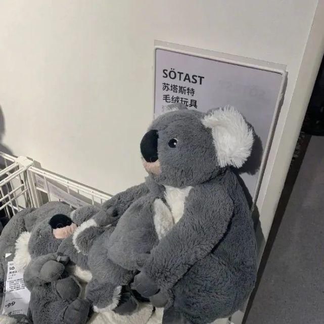  習慣|背景 | “放不下的只是習慣”