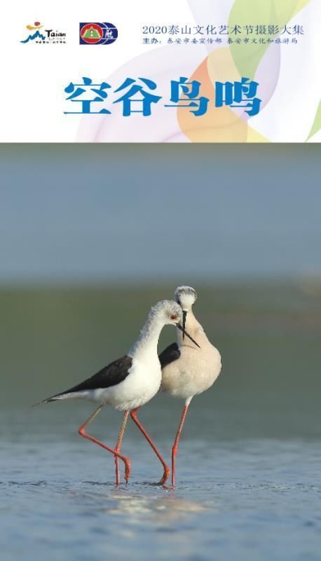 看不见|看不见的泰山 赏不尽的泰安