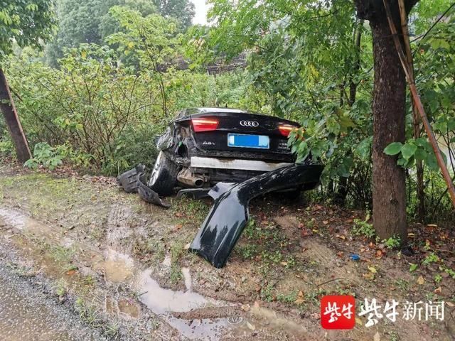 祝某|奥迪司机油门当刹车，撞大树后冲进树丛里
