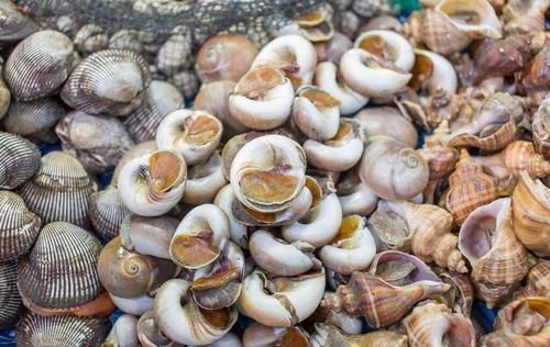 营养|休渔期正式结束,这6种海鲜敞开吃,营养高味道好,价格也不贵