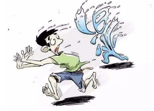 普洱|湿气太重?试试这几款茶,这个夏天不再油腻