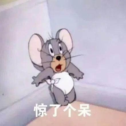  野狸岛公园|毒蛇出没？涉及珠海这个“网红”公园！官方这样说…