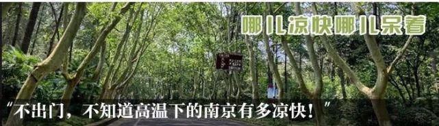 热血|震撼!数百人的热血救回了一条人命!