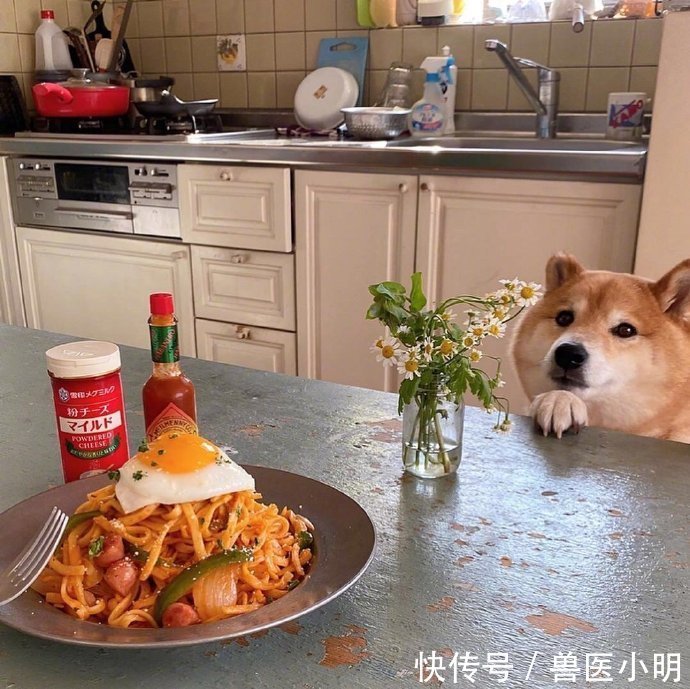 吃饭|女子每次吃饭,餐桌旁总会“长”出一颗狗头:再看就把你吃掉