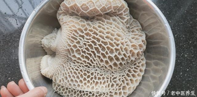 不难|做金钱肚想要好吃一点也不难,手把手教你做一锅,酥而不烂又好吃