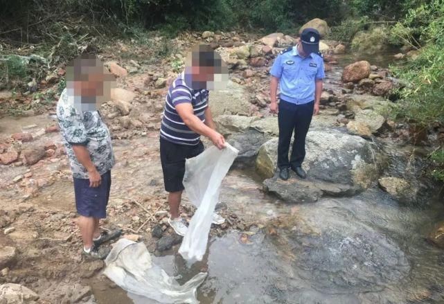 当场|两男子抓石鸡，当场被抓！