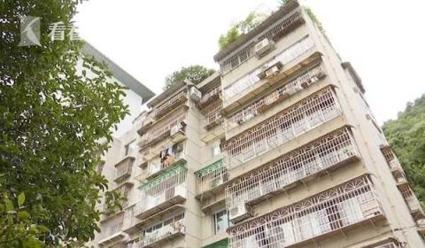  活物|雨棚被砸出大窟窿!一看视频业主怒了:是个＂活物＂