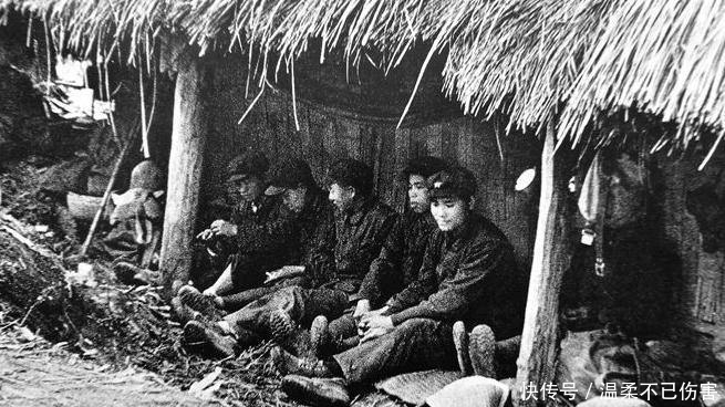  踩踏|撤离越南，工兵埋雷被水牛踩踏，枪扫水牛：要把地雷留给越军