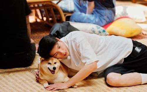  参加|《向往的生活》玩砸了？许光汉这一趟，挺让人“意外”的