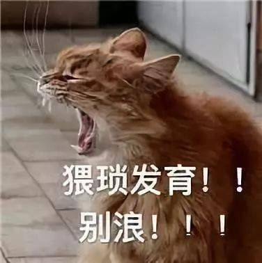 最全|王者荣耀系列表情包（全网最全合集）