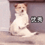  姐姐|速来围观！长在热搜上的姐姐来霸气回应了