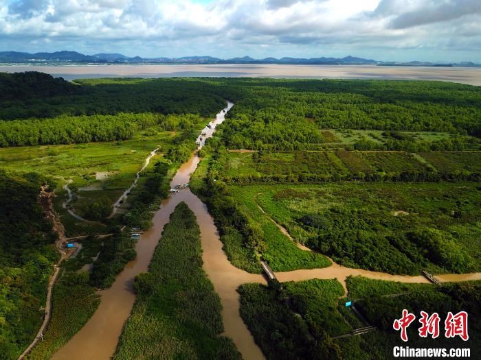 风景|水清岸绿风景美 珠三角建成绿色生态水网