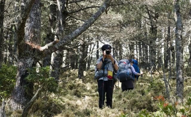 登山|看测评买好货,攀山鼠klattermusen耐磨登山长裤体验