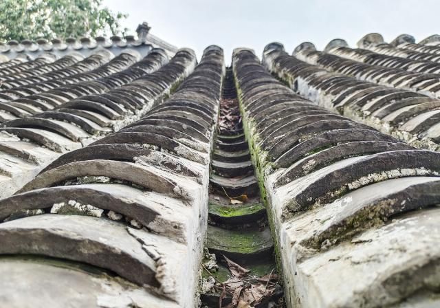  神器|为什么vivo S7能成为网红小姐姐的涨粉神器