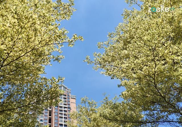 X50|vivo X50 Pro+ 拍照专项评测:强悍如此,堪称炫技