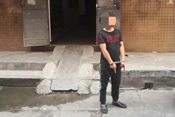 顺藤摸瓜|顺藤摸瓜把贼抓！