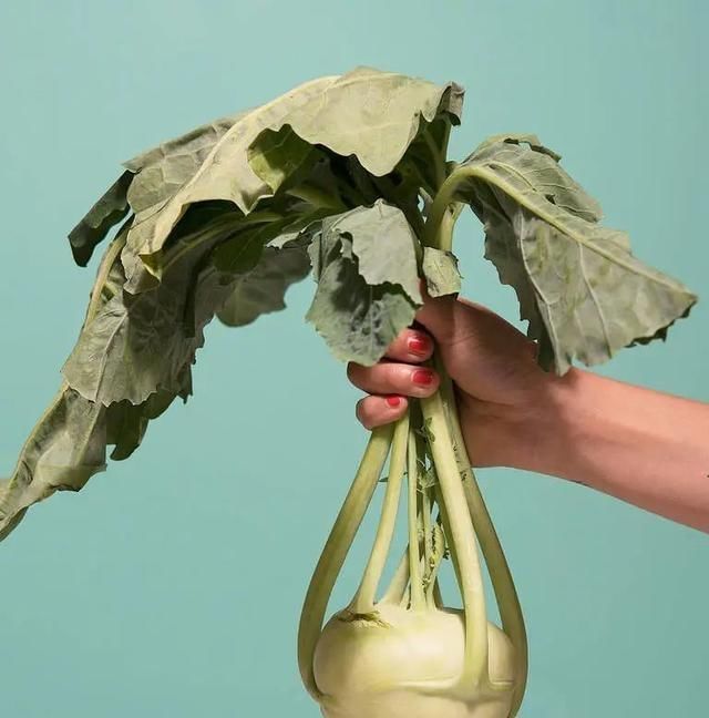 木里|佐木里的萝卜是什么？你能吃吗？好吃吗？你怎么吃的？