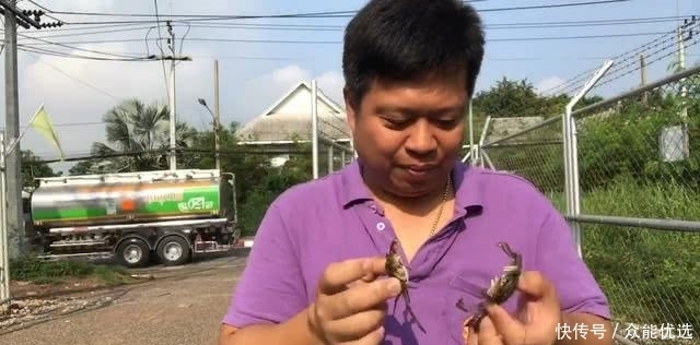 打开|男子捉了15只螃蟹,塞到瓶子里,15天后打开乐坏了!