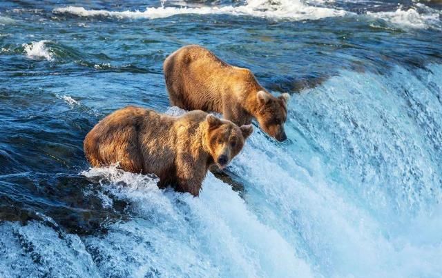  比基尼|62岁离婚恢复单身的奶奶，68岁穿比基尼、独自环游世界火遍全网！