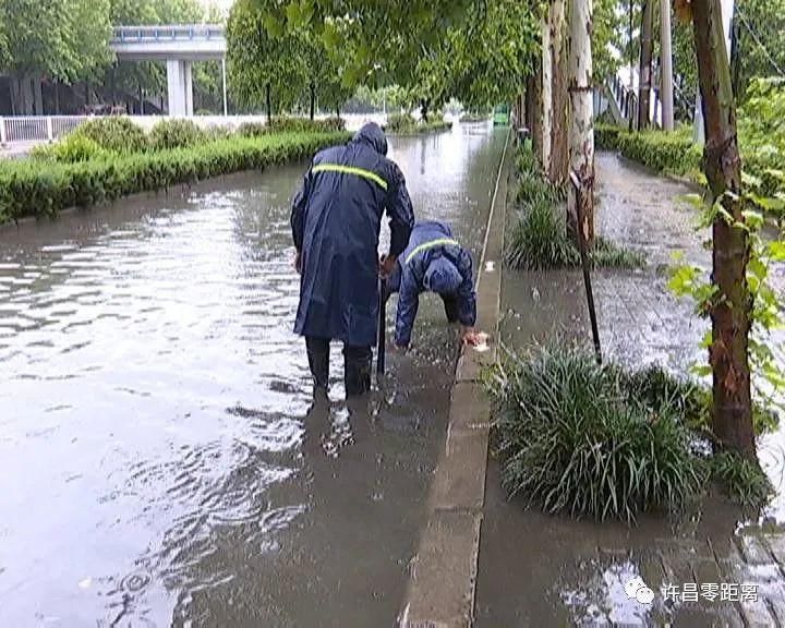 清扫|暴雨突袭！排水、清扫……他们在行动！