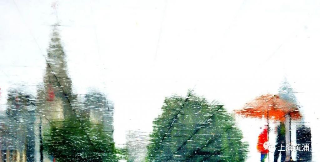  即景|图说黄浦｜“暴力梅”又来，雨中即景感受城市“温度”
