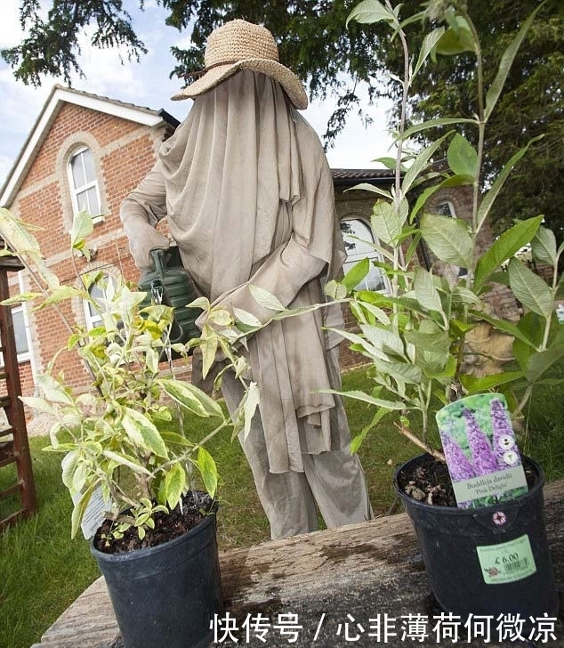 wifi|英国女子对wifi过敏,无法使用任何电器,只能选择隐居农村!