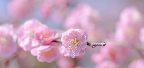  送给|适合发朋友圈的早安短句，经典有个性，送给深夜无眠的你