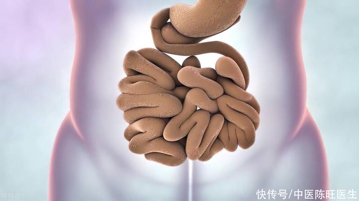 喝粥还是喝牛奶养胃(喝粥不养胃，喝牛奶也不护胃，真正的好办法是这个)