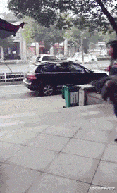 新郎|搞笑GIF：苍天啊！大地啊！为什么新郎不是我！我不甘心啊